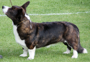 Ellie September 2010