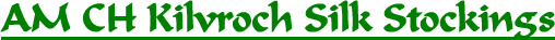 AM CH Kilvroch Silk Stockings