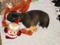 DSC01399.JPG (147kb)